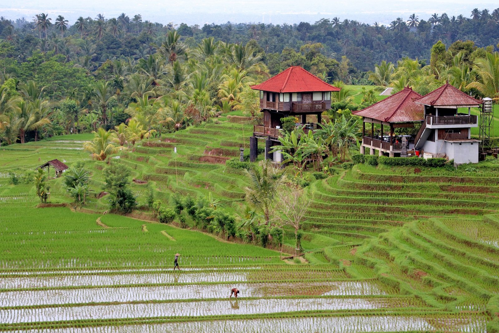 Où loger lors de vacances à Bali: Guide des meilleures options d’hébergement