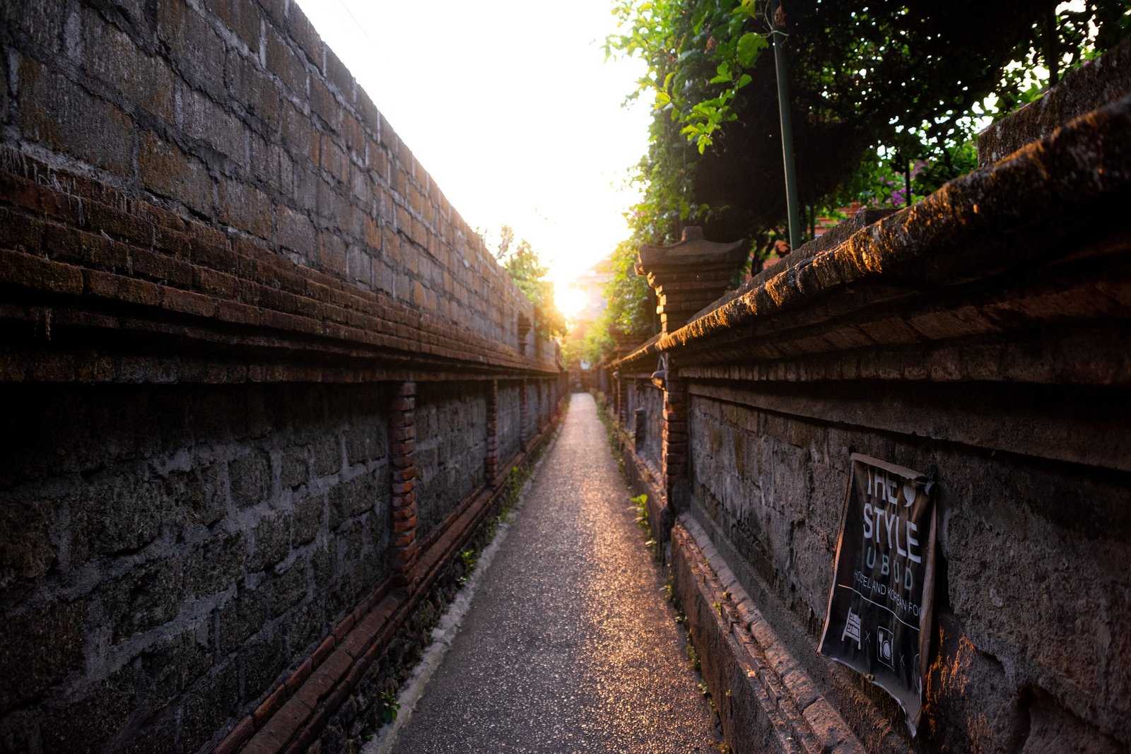 Explorer Ubud à Bali : Les lieux incontournables